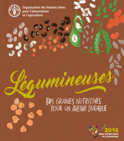 legumineuses-graines-nutritivesfao