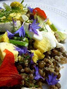 salade-lentille-quinoa (3)